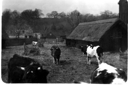 Sharsted Farm Shawstead Road Gillingham