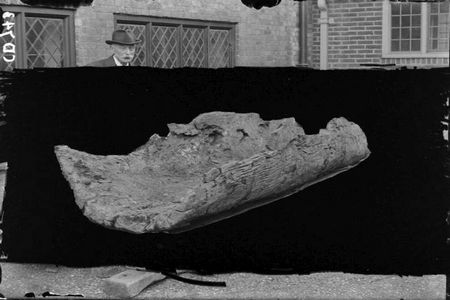 Neolithic Dug Out Boat Eastgate House Museum Rochester