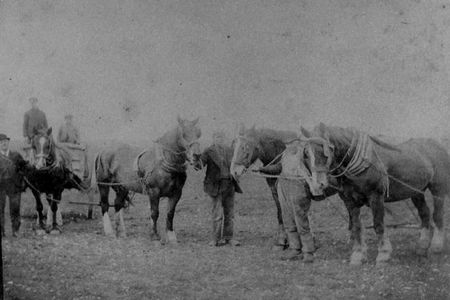 Farm workers in the Gillingham area