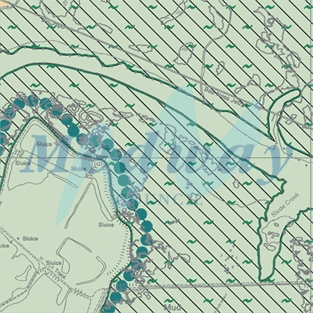 Map proposals_1185