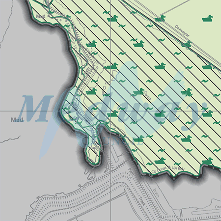 Map proposals_1462