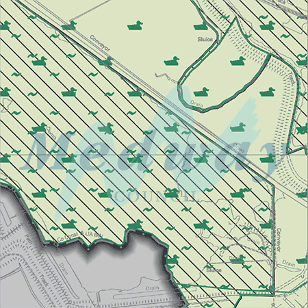 Map proposals_1463