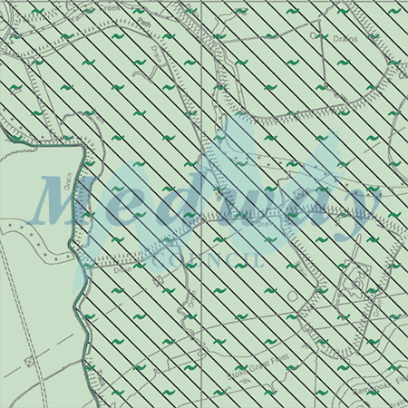 Map proposals_1540