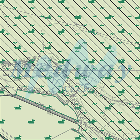 Map proposals_1563