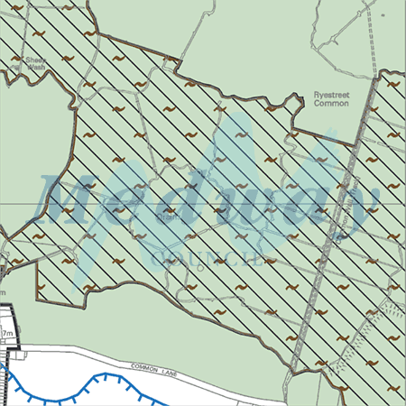 Map proposals_1569