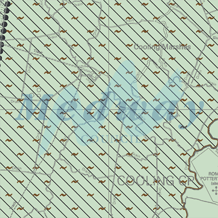 Map proposals_1572