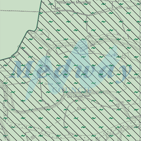 Map proposals_1591