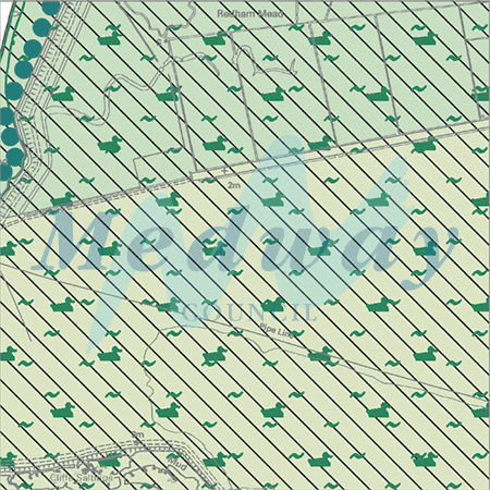 Map proposals_1613