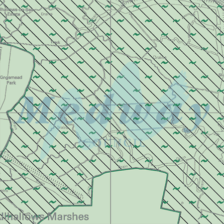 Map proposals_1690