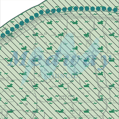 Map proposals_1765