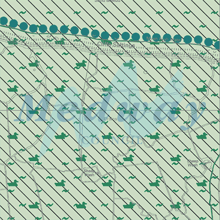 Map proposals_1767