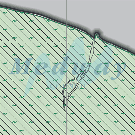 Map proposals_1796