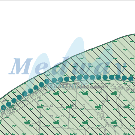 Map proposals_1815