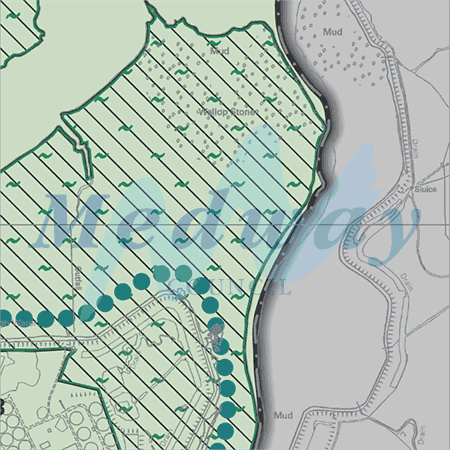 Map proposals_787